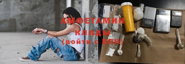 сатива Аркадак