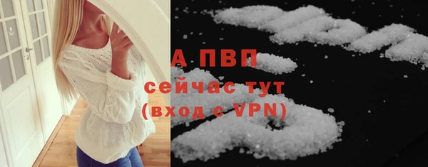 сатива Аркадак