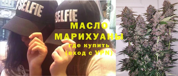 сатива Аркадак