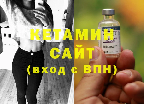сатива Аркадак