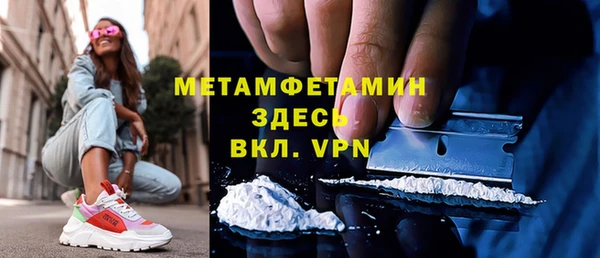 сатива Аркадак