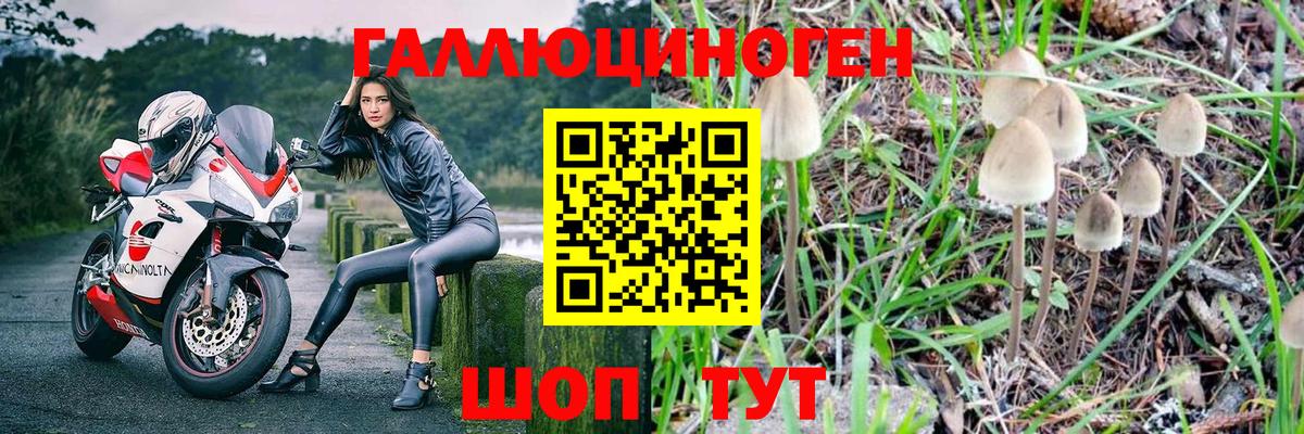 Галлюциногенные грибы Psilocybine cubensis  Вход с VPN  Старый Оскол 